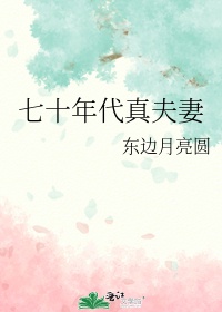 七十年代真夫妻