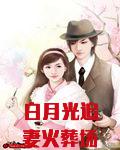 白月光追妻火葬场