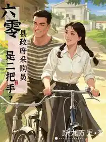 六零：县政府采购员是二把手？